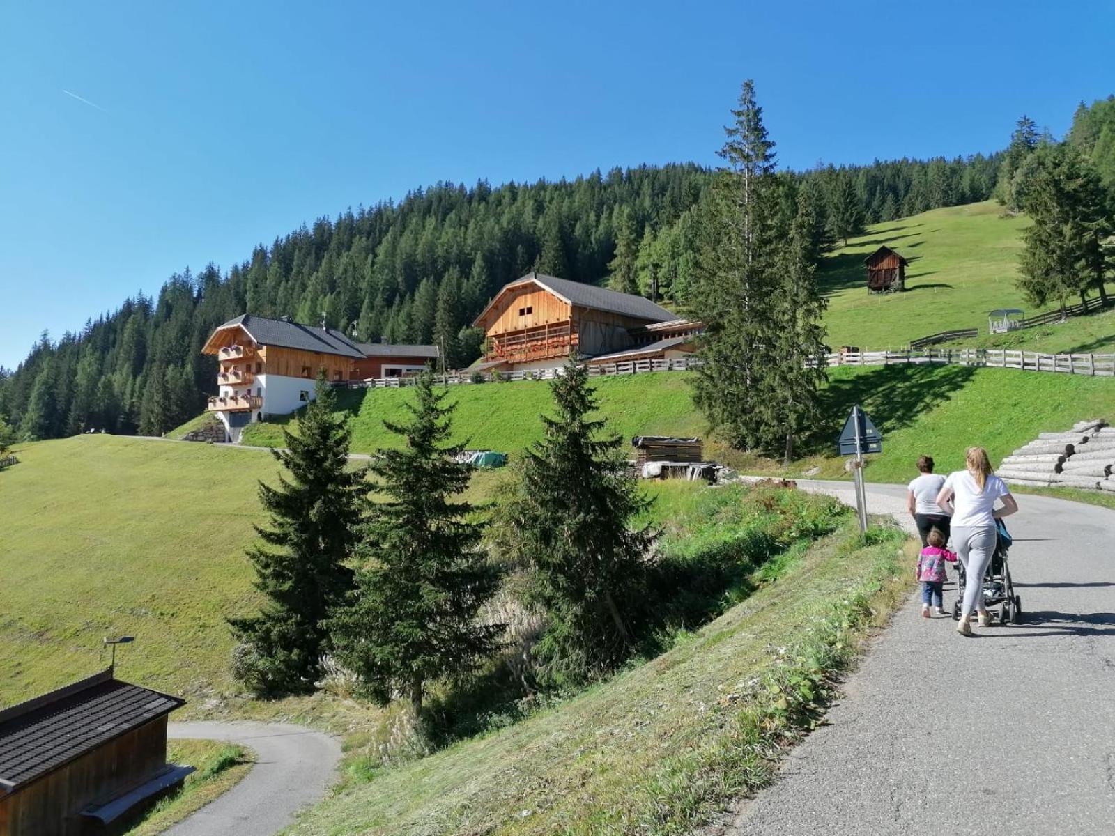 Agriturismo Luech Picedac Ла-Валле Екстер'єр фото